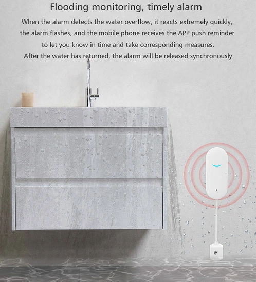 Smart Water Level Alarm - Image 3