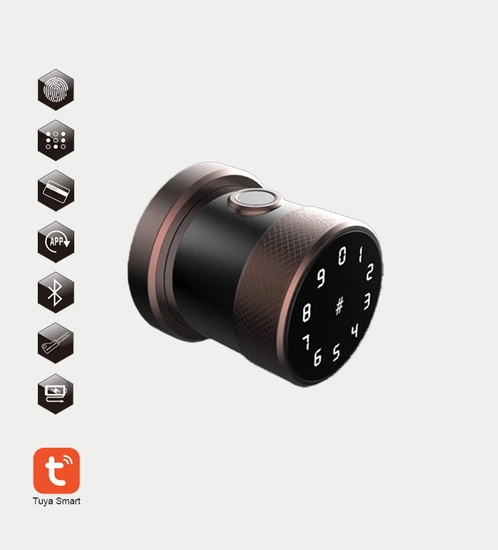 Smart Lock - Wooden doors With installation